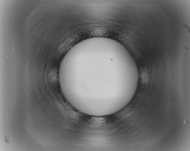 X0000103300665200809122031