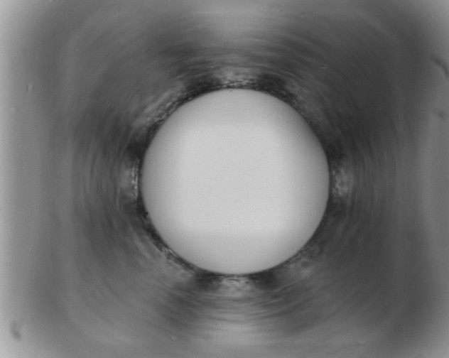 X0000103300666200809122031