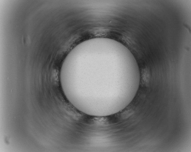 X0000103300667200809122031