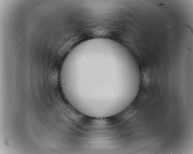 X0000103300668200809122031