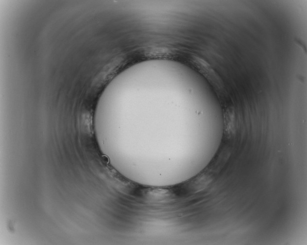 X0000103300669200809122031