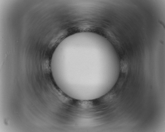 X0000103300670200809122031