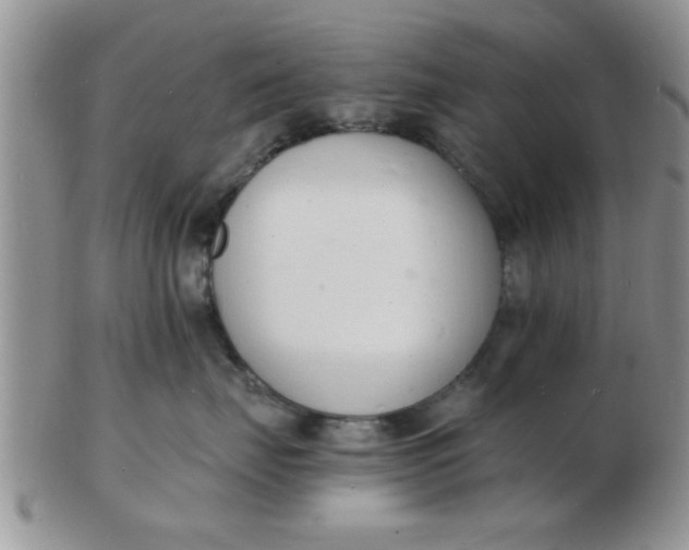 X0000103300671200809122031