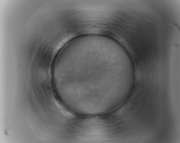 X0000103300674200809122030