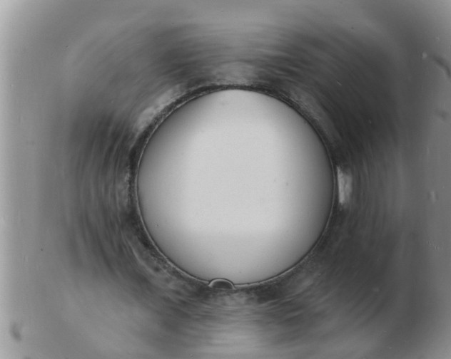 X0000103300675200809122030