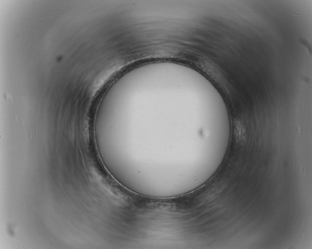 X0000103300676200809122030