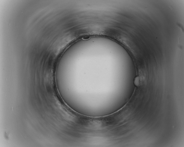 X0000103300677200809122030