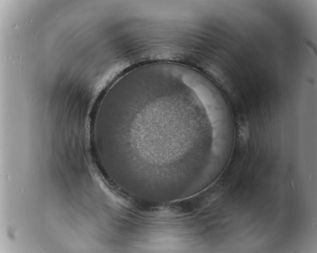 X0000103300678200809122030