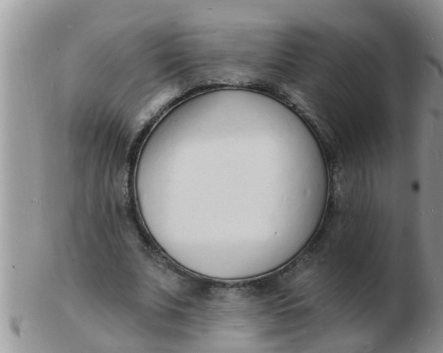 X0000103300679200809122030