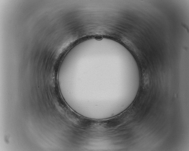 X0000103300680200809122030