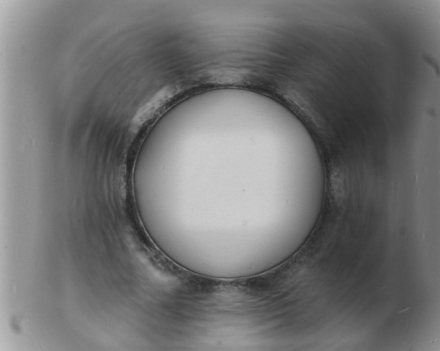 X0000103300682200809122030