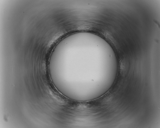 X0000103300684200809122030