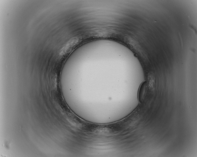 X0000103300685200809122030