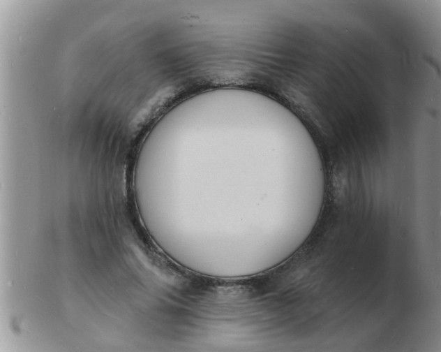 X0000103300686200809122030