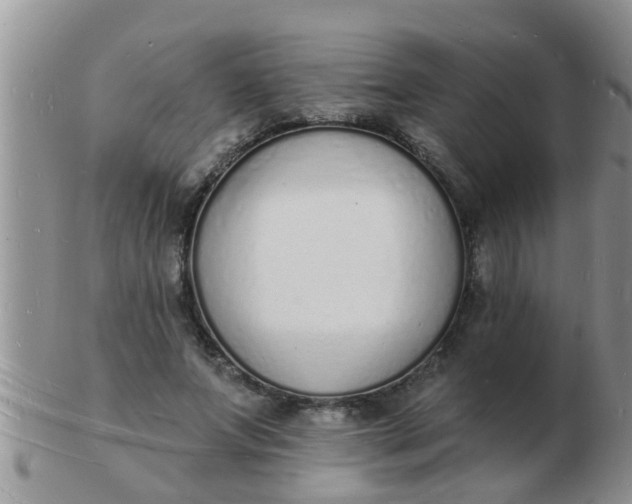 X0000103300687200809122030