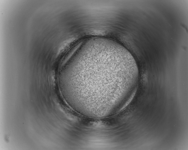 X0000103300688200809122030