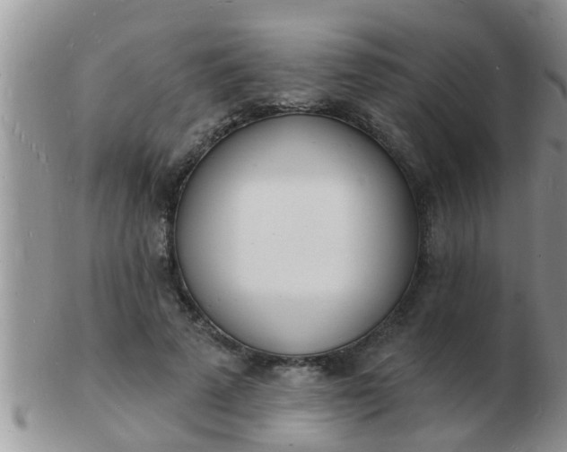 X0000103300689200809122030