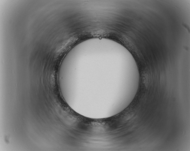 X0000103300690200809122030