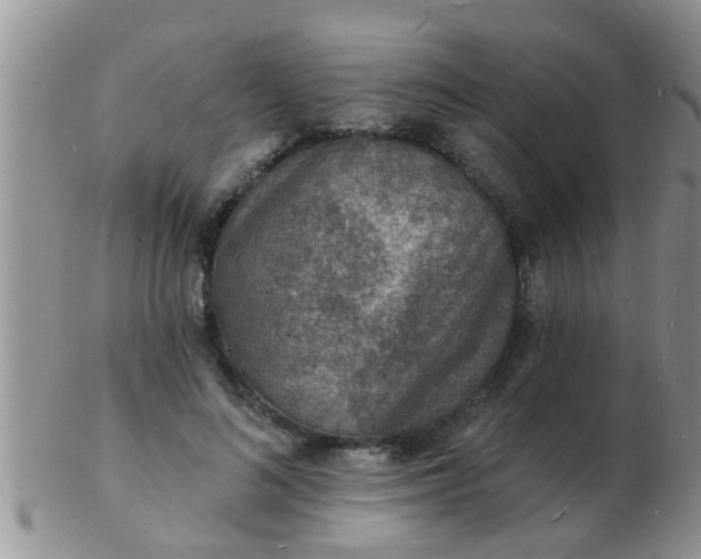 X0000103300692200809122030