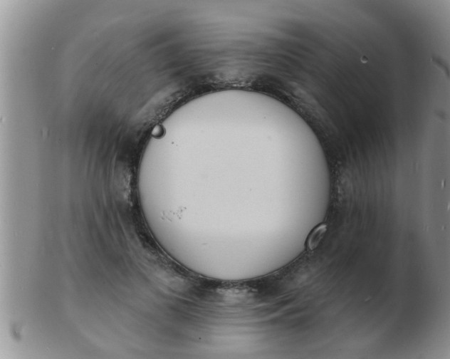 X0000103300693200809122030