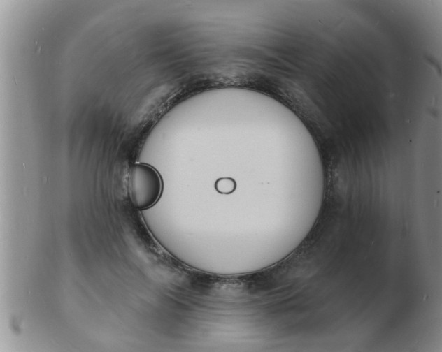 X0000103300694200809122030