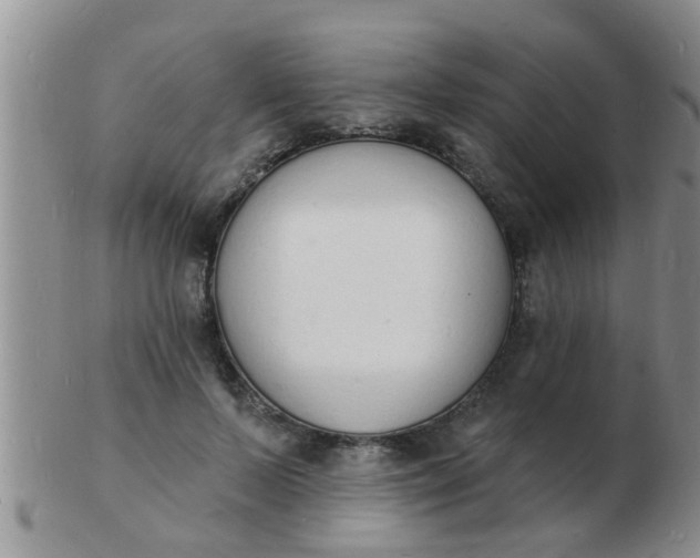 X0000103300695200809122030