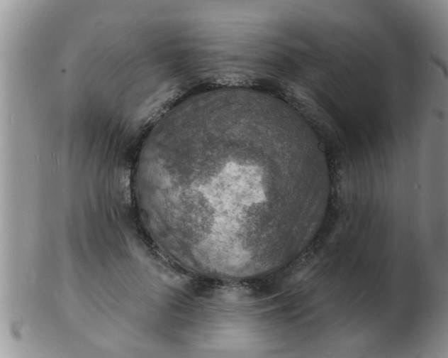 X0000103300696200809122030