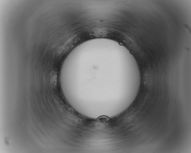 X0000103300697200809122030