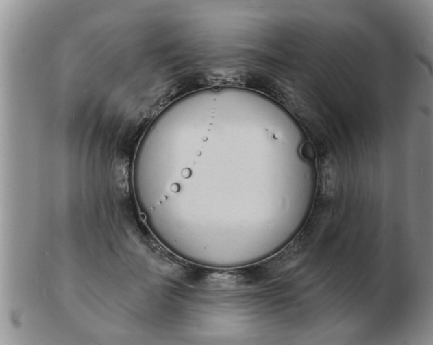 X0000103300699200809122030