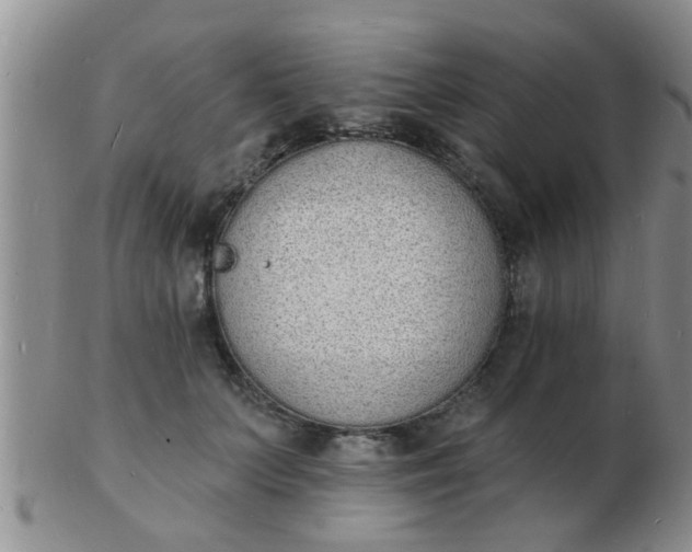 X0000103300703200809122030