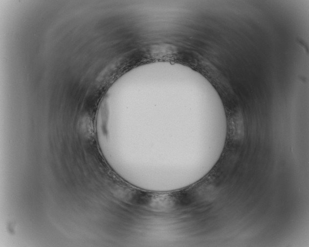 X0000103300705200809122030