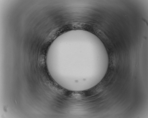 X0000103300706200809122030