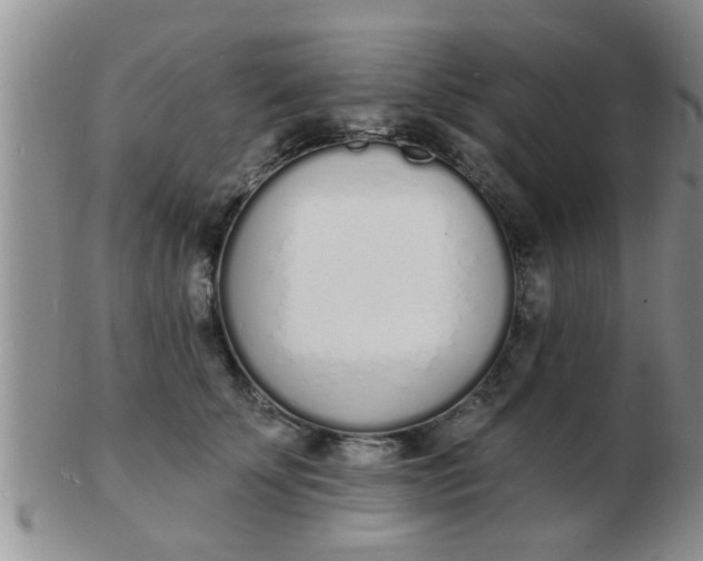 X0000103300707200809122030