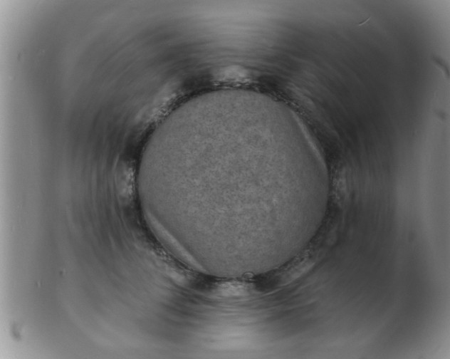 X0000103300708200809122030