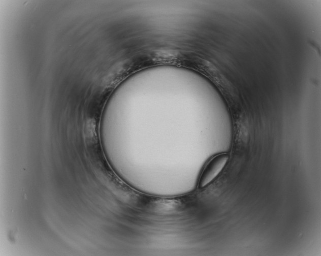 X0000103300711200809122030