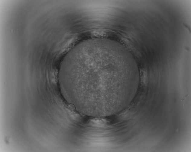 X0000103300712200809122030