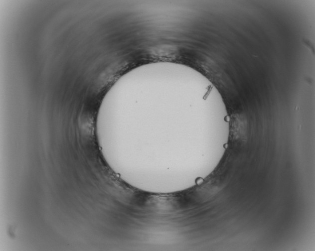 X0000103300713200809122030