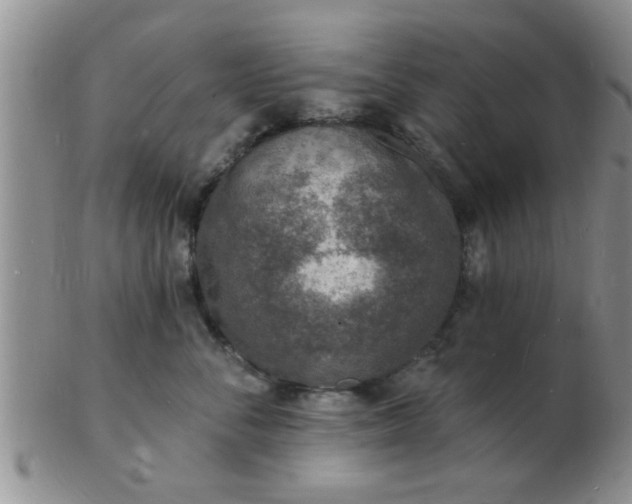 X0000103300716200809122030