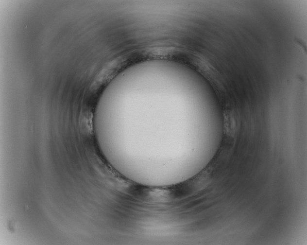 X0000103300718200809122029