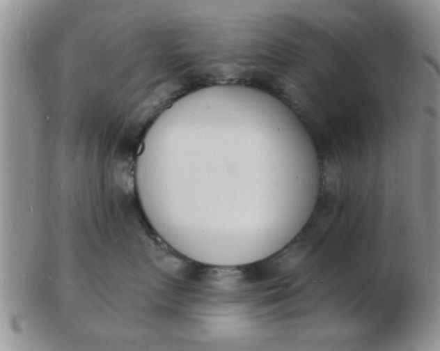 X0000103300719200809122029