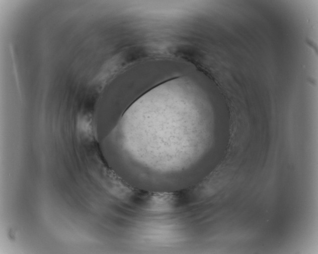 X0000103300720200809122029