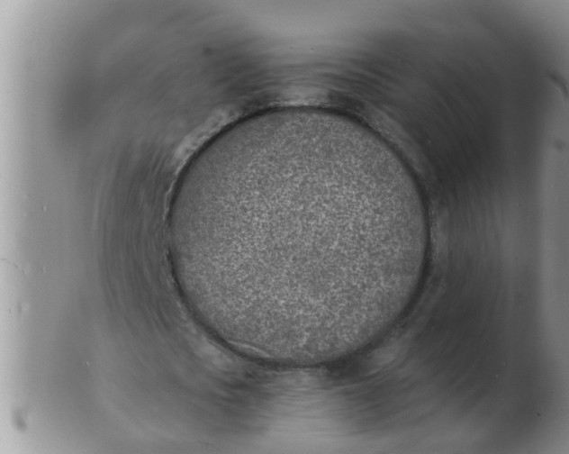 X0000103300721200809122029