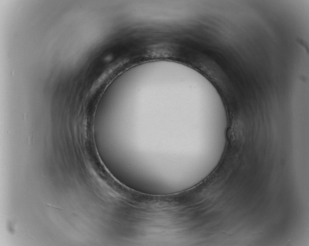 X0000103300722200809122029