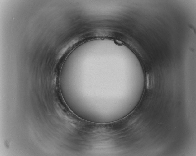 X0000103300723200809122029