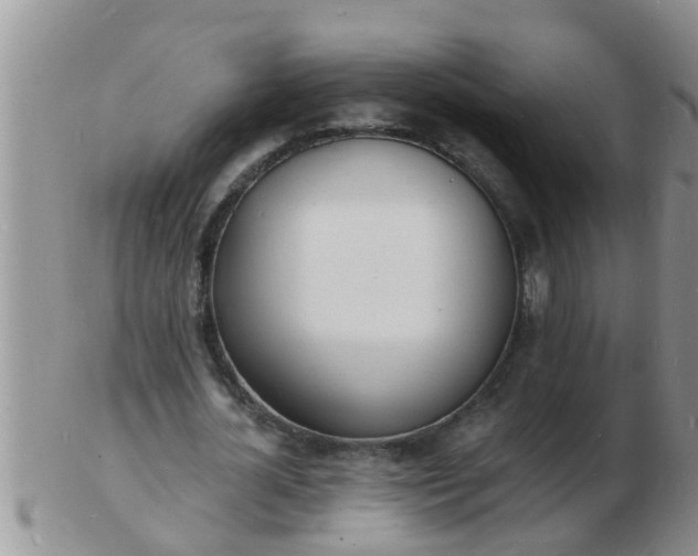 X0000103300724200809122029