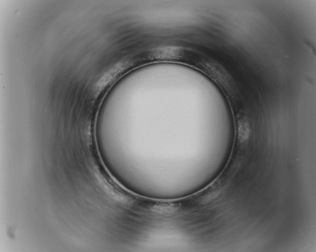 X0000103300725200809122029