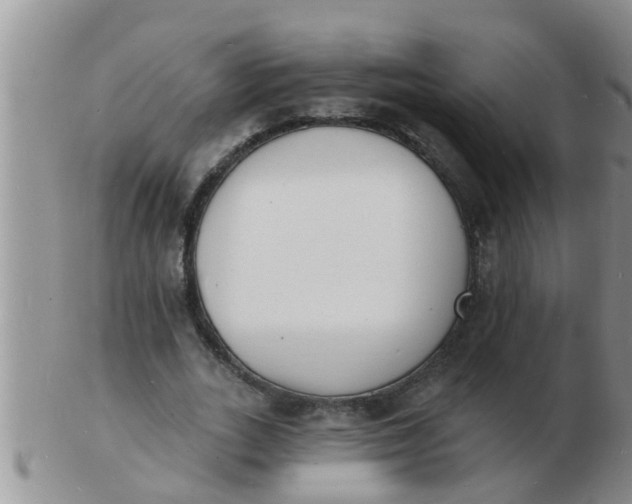 X0000103300727200809122029