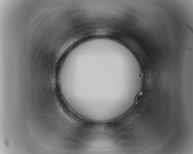 X0000103300728200809122029