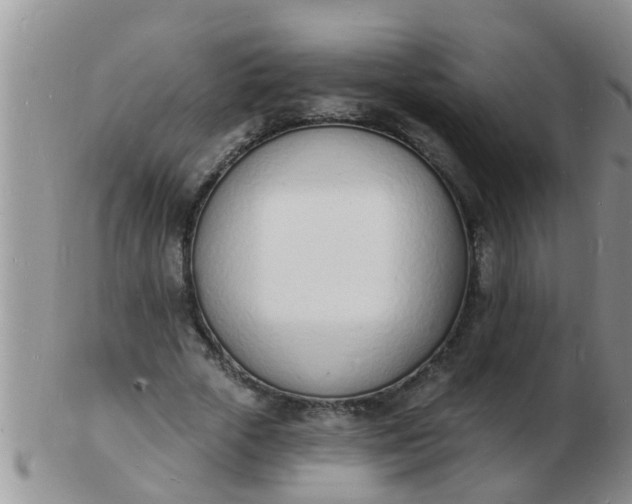 X0000103300729200809122029