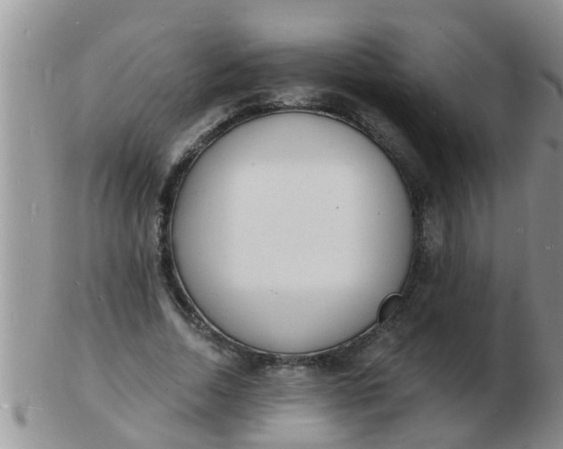 X0000103300730200809122029